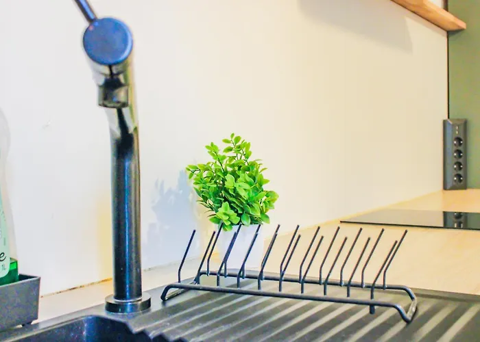 Escapade A Vichy, 2 Cosy Βισύ